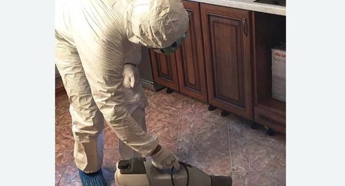 Уничтожение тараканов в квартире. Севастополь